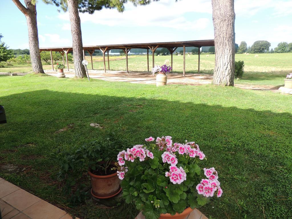 Agriturismo Valle Martina Saturnia Εξωτερικό φωτογραφία